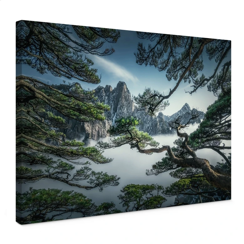 Leinwandbild Kiefernwald im Huang Shan Gebirge - NingYun Ye 