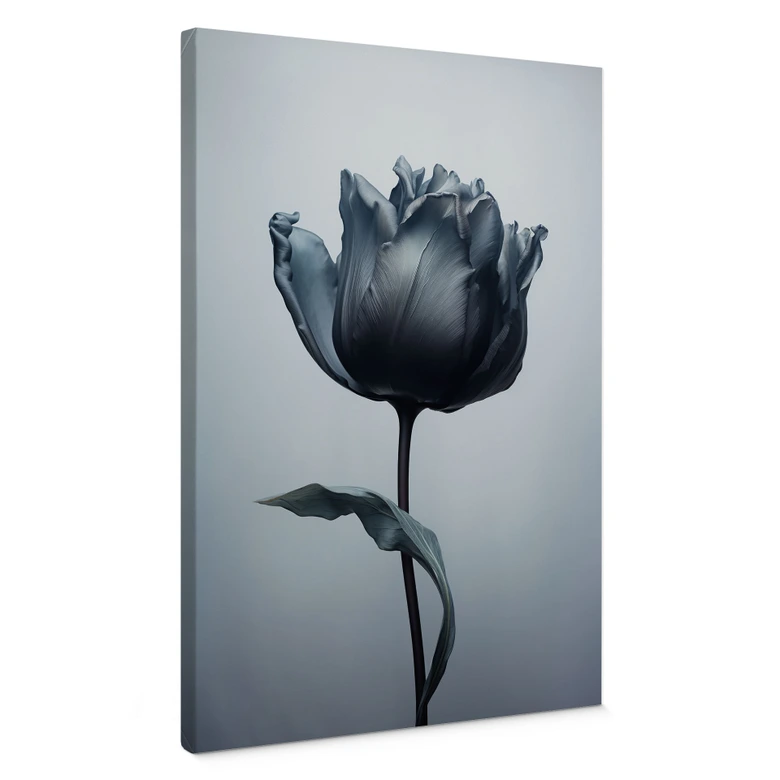 Leinwandbild Samtige Tulpe in Schwarz - Paksoylu 
