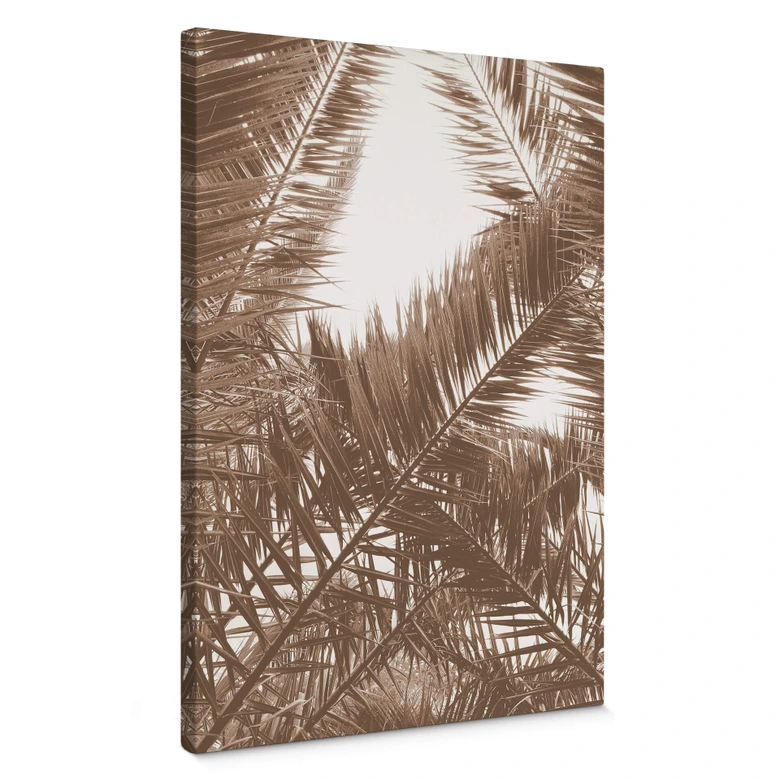 Phoenix palm canvas bild 