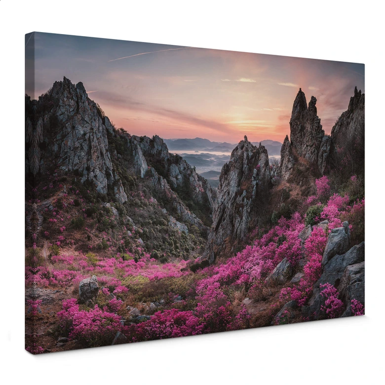 Leinwandbild Seo - Felsige Landschaft im Sonnenuntergang 