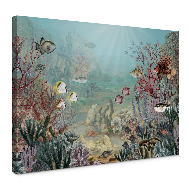 Obraz na płótnie Sir Edward - mieszkaniec koralowców 