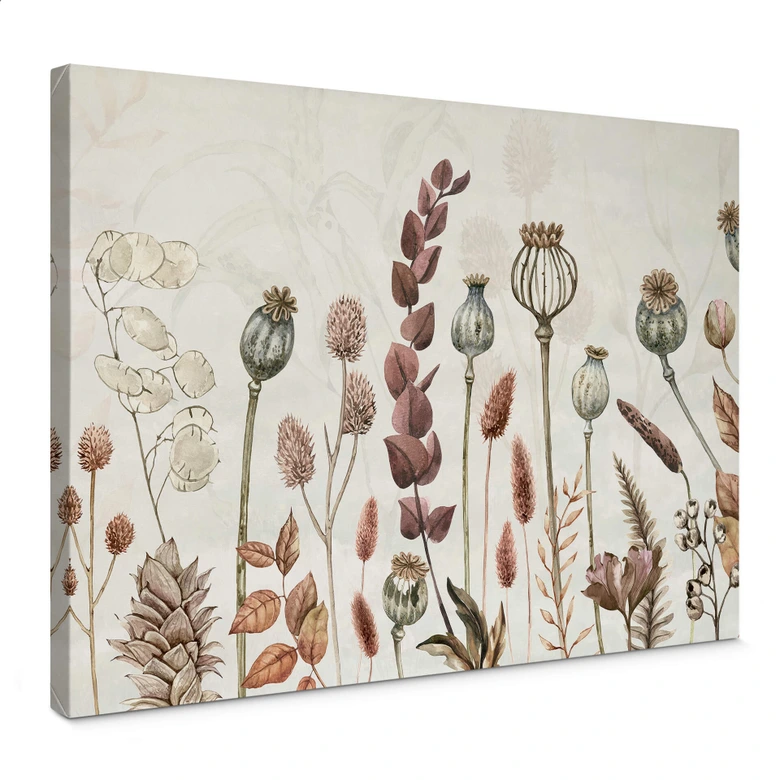 Leinwandbild Sir Edward - Trockenblumen Weiss 