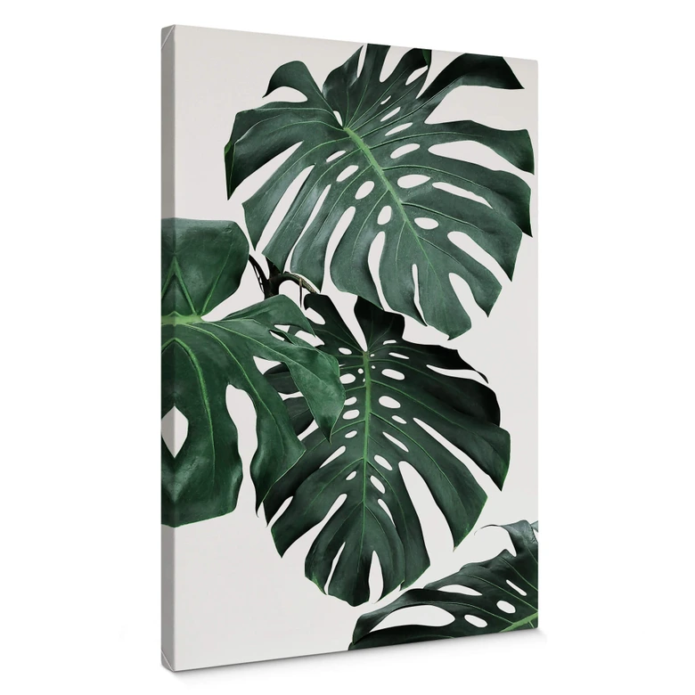 Leinwandbild Sisi & Seb - Monstera 