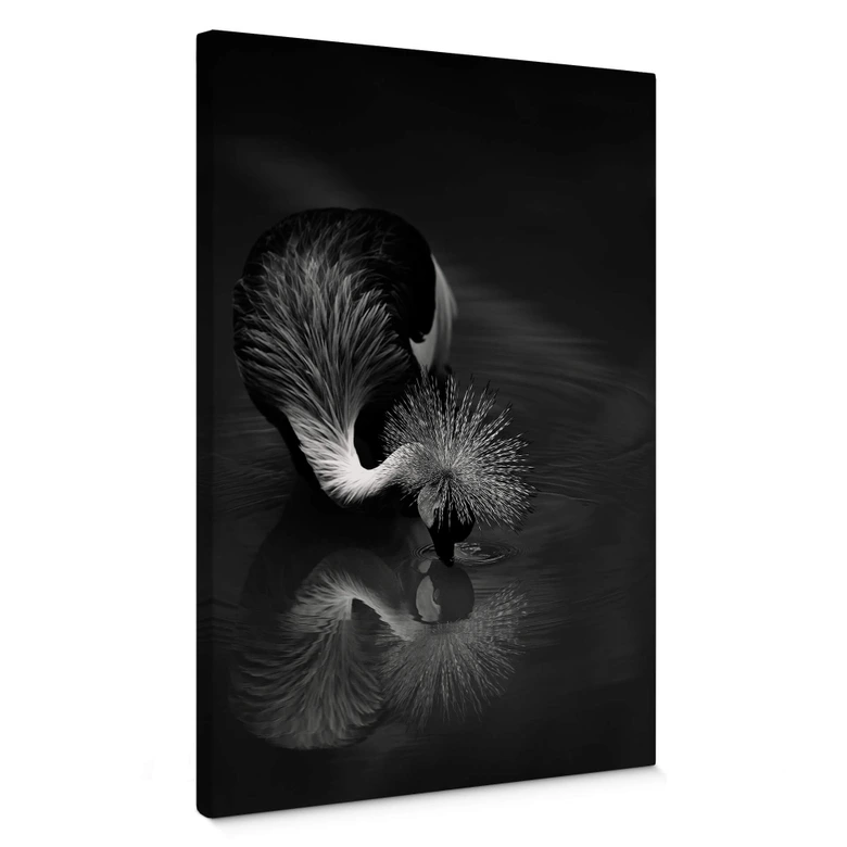 Leinwandbild Tjandra - Vogel Reflexion - schwarz-weiß 