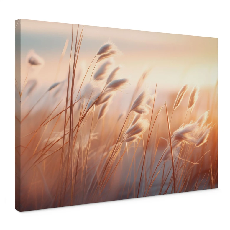 Lienzo Hierba de las dunas al sol del atardecer - Treechild 