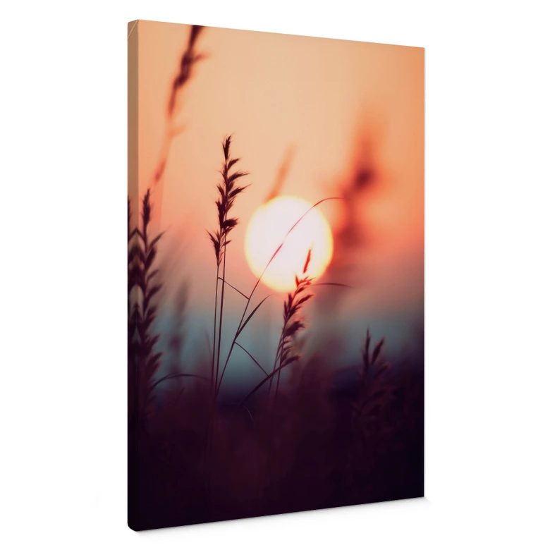 Leinwandbild Gräser im Licht der glühenden Sonne - Treechild 