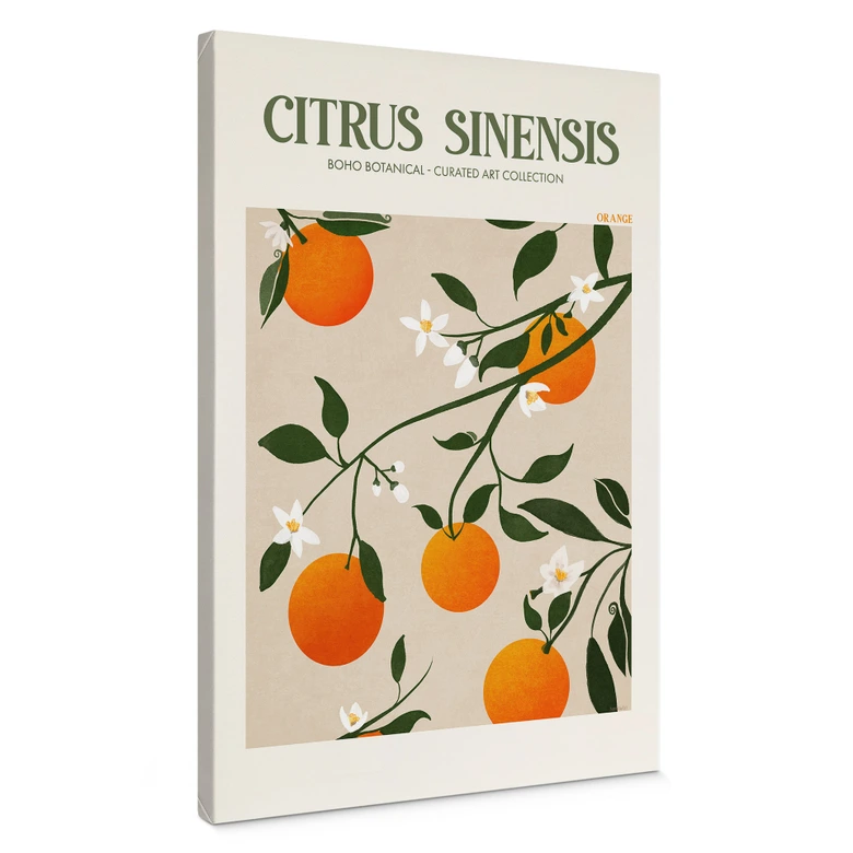 Lienzo Boho Naranjo - Citrus Sinensis - Tunaboylu 