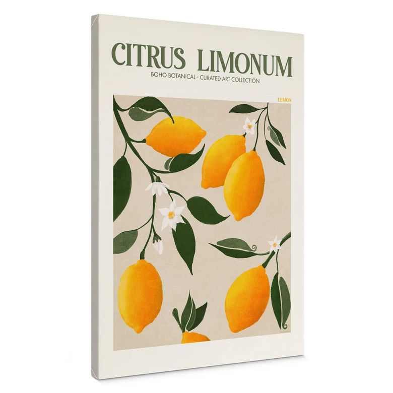 Leinwandbild Boho Zitronenbaum - Citrus Limonum - Tunaboylu 