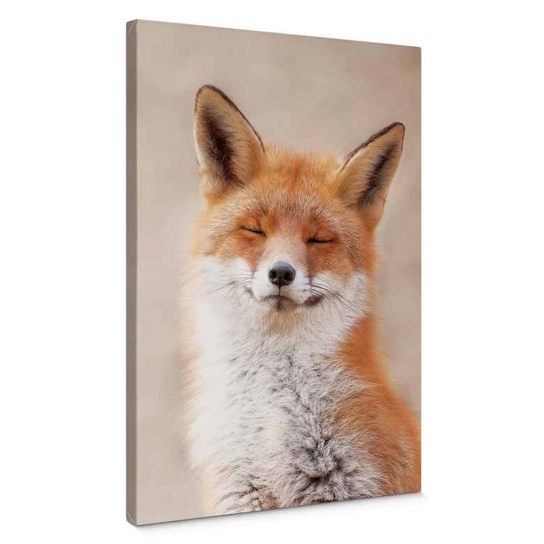 Leinwandbild van Duijn - Zufriedener Fuchs 
