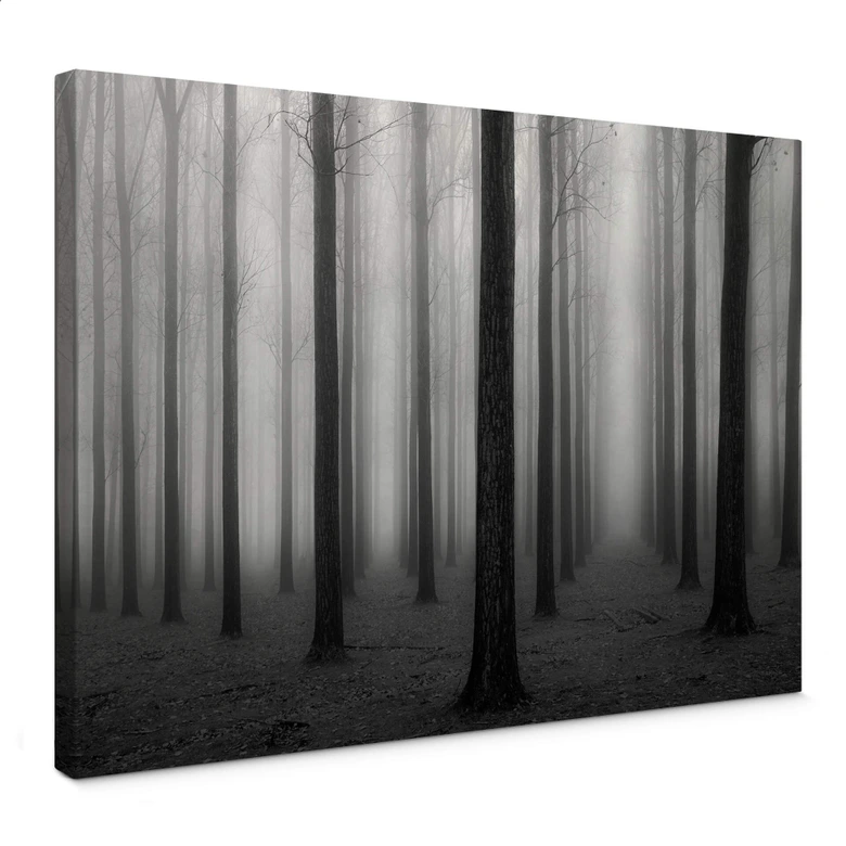 Leinwandbild Bongaerts - Nebel im Wald 