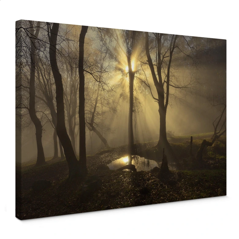 Leinwandbild Cuadrado - Light 