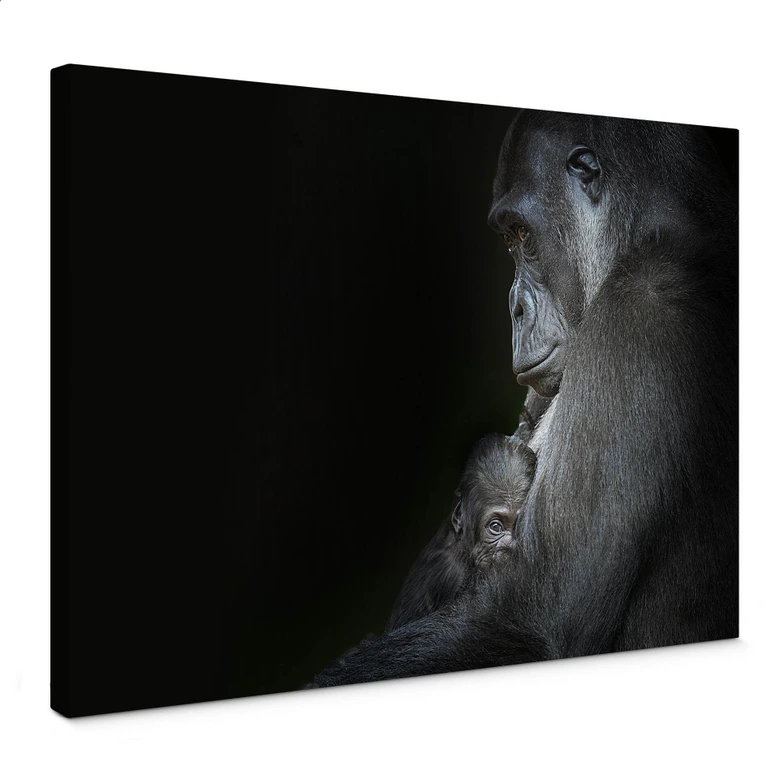 Leinwandbild Cuadrado - Tenderness 
