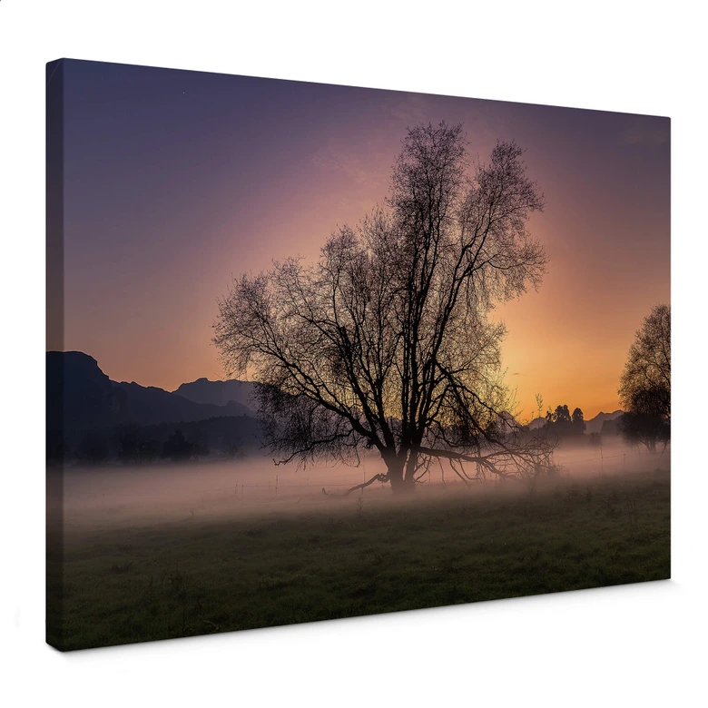 Leinwandbild Cuadrado - The Fog 