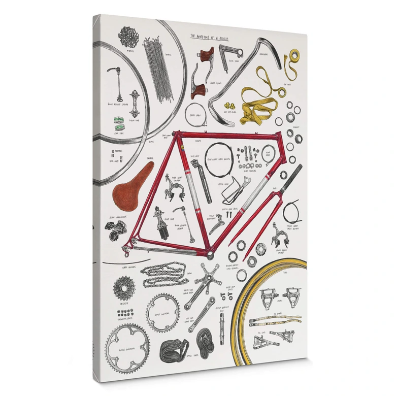Lienzo Sparshott - Estructura de una bicicleta 