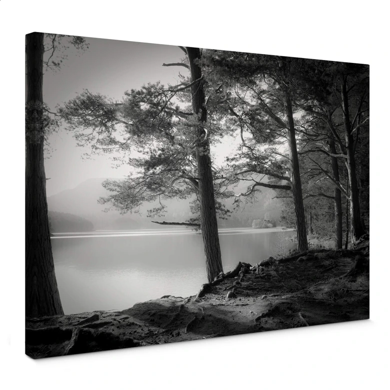 Canvastavla Fuhg - Sjöutsikt 