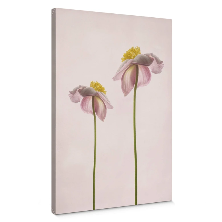 Leinwandbild Grønkjær - Sommerlust 