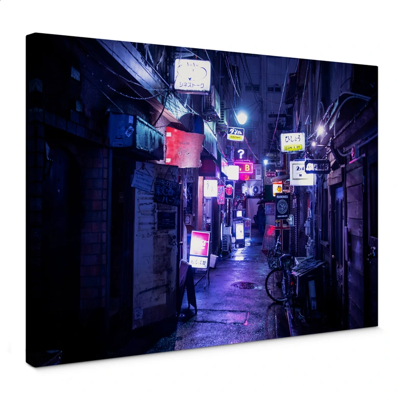 Leinwandbild Hugonnard - Nachtleben in Japan 