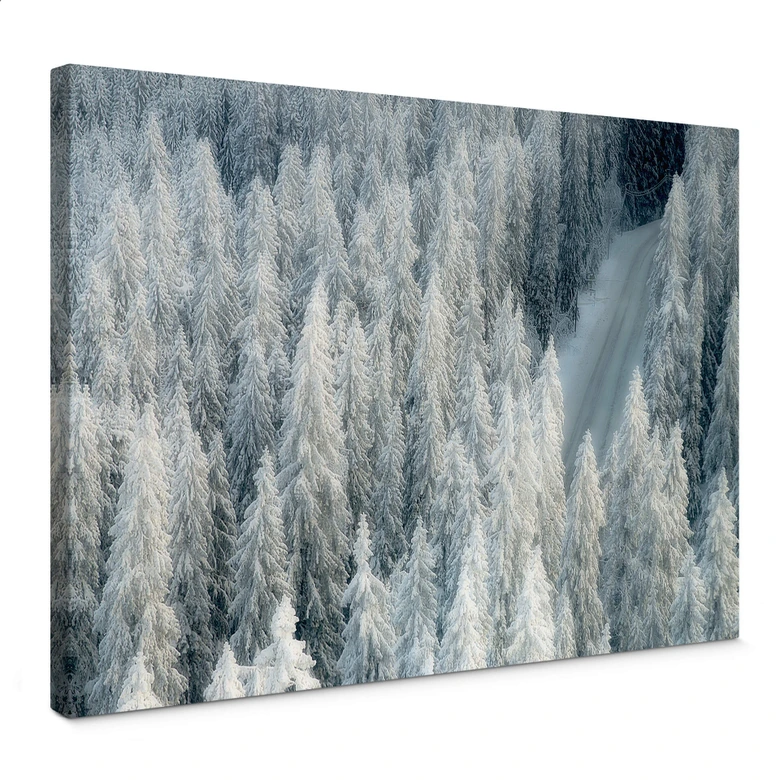 Leinwandbild Kalliolahti - Weisser Winter 