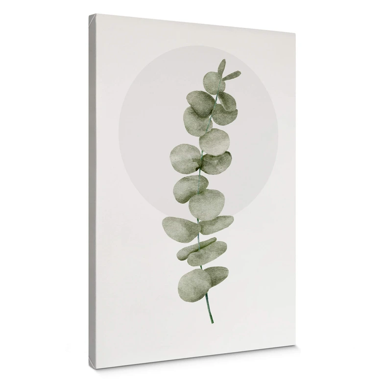 Canvas Kubistika - Eucalyptus 