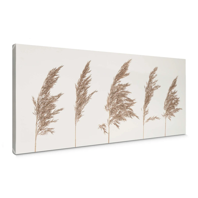 Obraz na płótnie Trzcinowa trawa - Panorama 