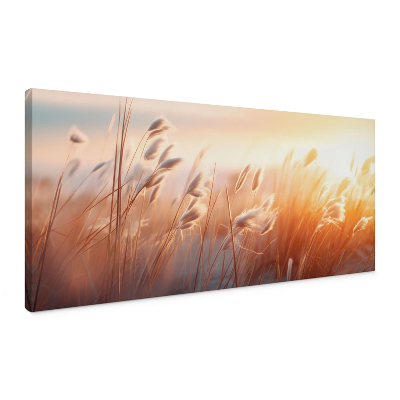 Canvastavla Dyngräs i kvällssol - Treechild - Panorama 