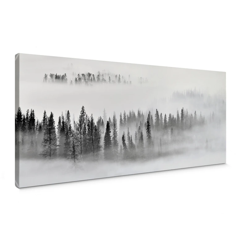 Leinwandbild Nebelwald in Schwarz-Weiß - Panorama - Xu 