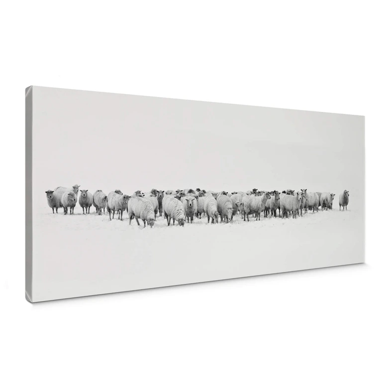 Obraz na płótnie Stado owiec - Panorama 