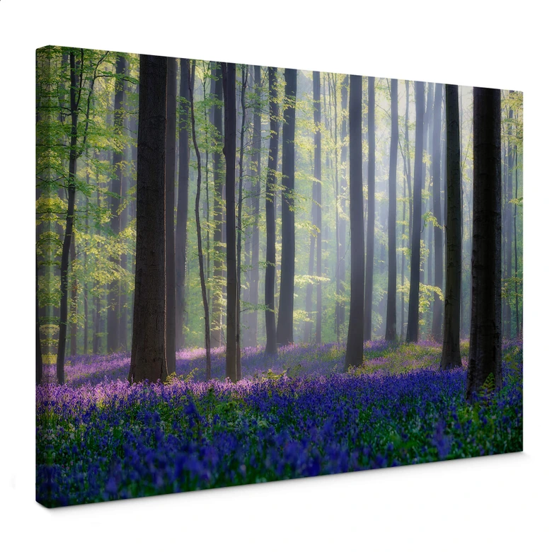 Leinwandbild Popan - Glockenblumen 