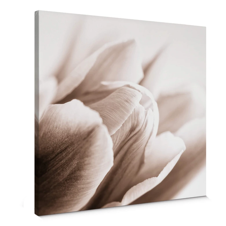 Lienzo tulipán en detalle - cuadrado 