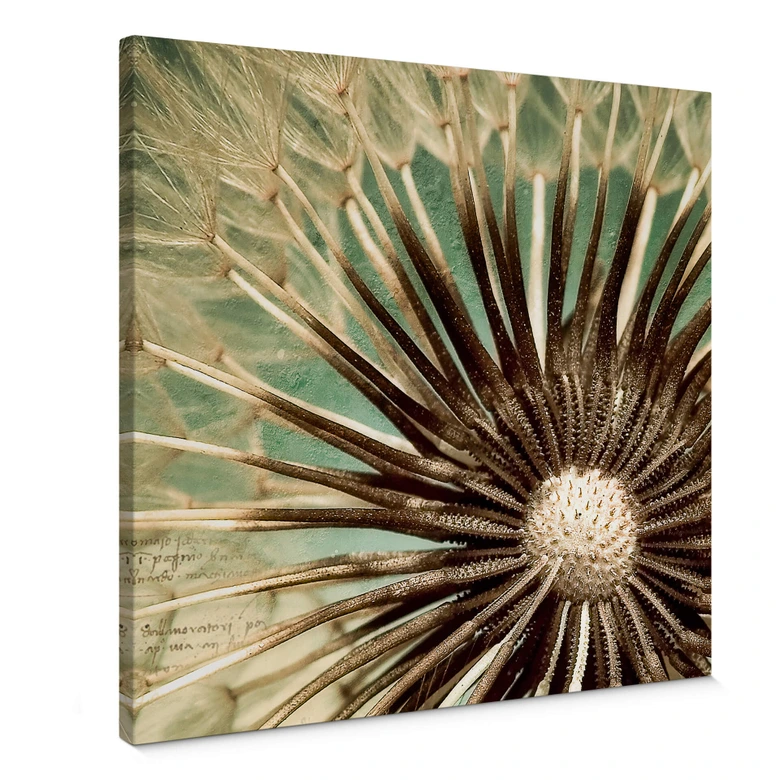 Leinwandbild Pusteblumen-Poesie - quadratisch 