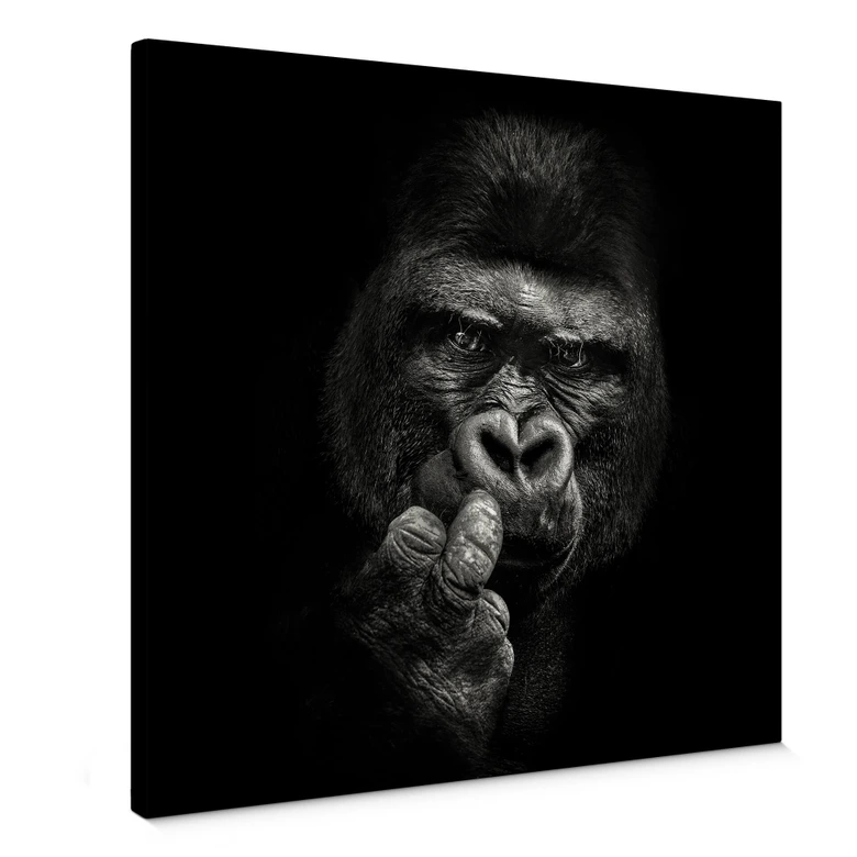 Leinwandbild Meermann - Der Gorilla - Quadratisch 