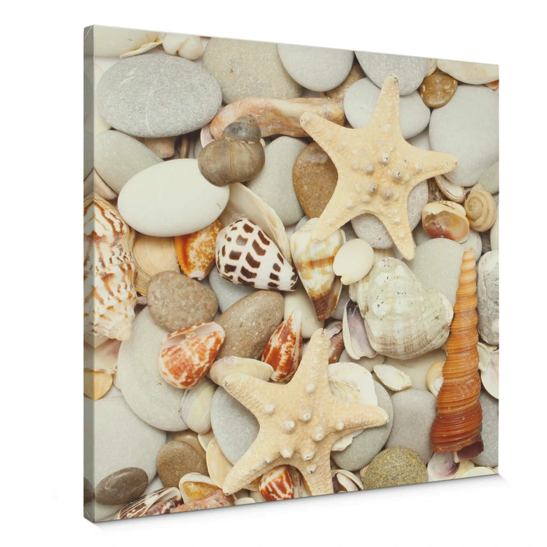 Leinwandbild Muscheln und Steine - Quadratisch 