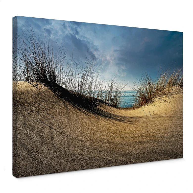 Leinwandbild Schuurmans - Stranddünen 