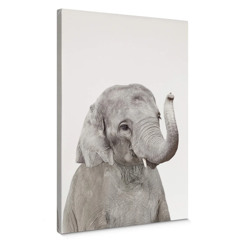 Leinwandbild Sisi & Seb - Baby Elefant 