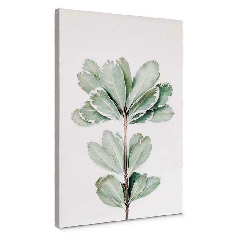 Lienzo Sisi & Seb - Botánica 