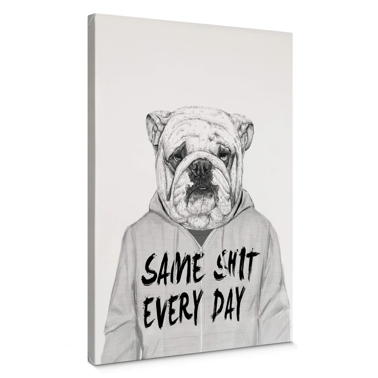 Leinwandbild Solti - Genervte Bulldogge 