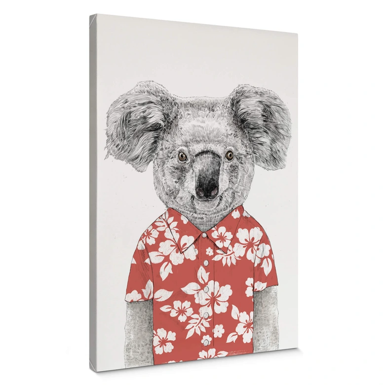Canvastavla Solti - Koala på sommaren 