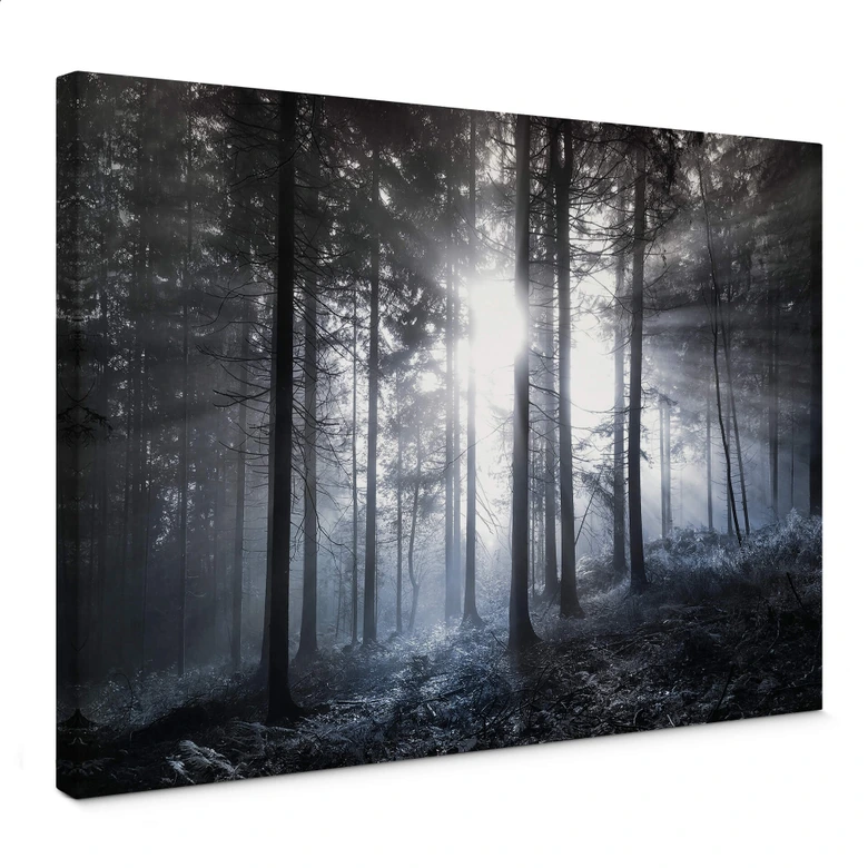 Leinwandbild Sonnenstrahlen im Wald Blau 