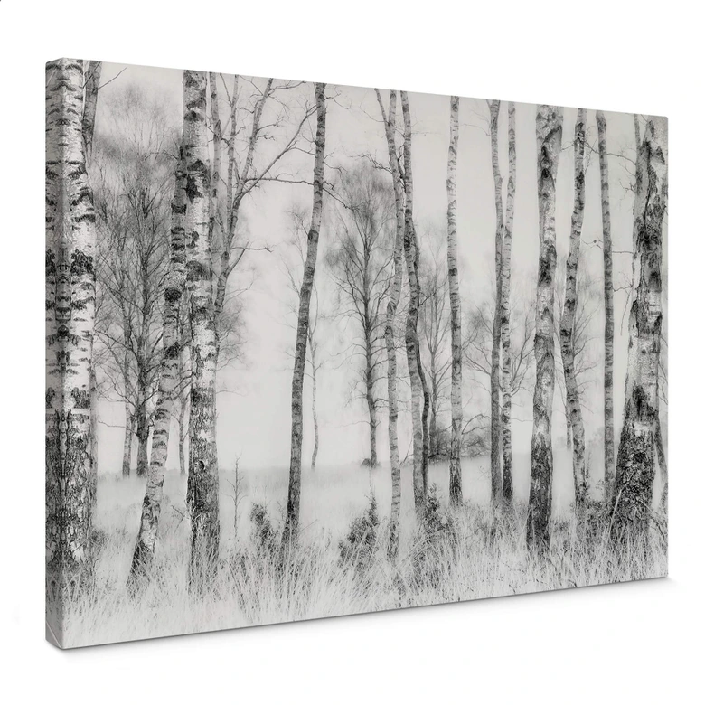 Leinwandbild Talen - Schwarz-weißer Birkenwald 