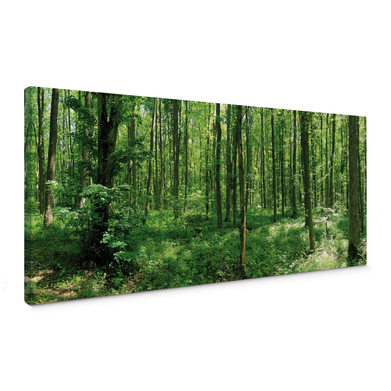Leinwandbild Waldpanorama 01 