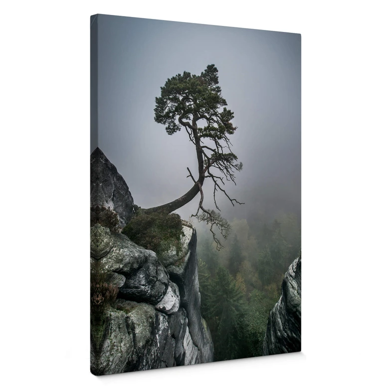 Leinwandbild Wonisch - Kräfte der Natur 