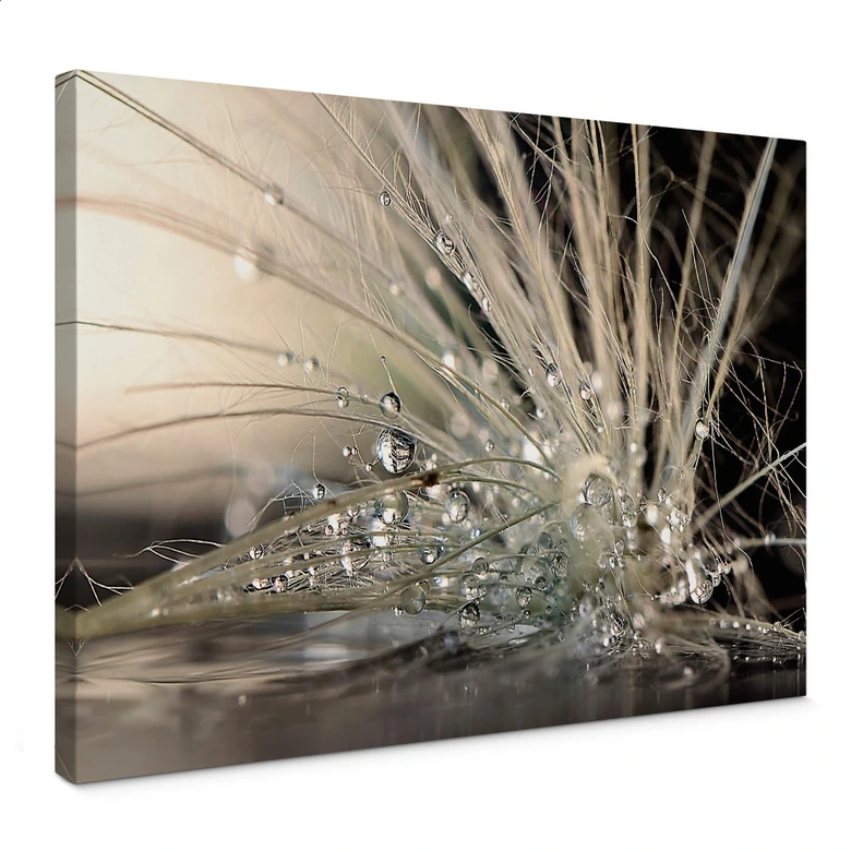 Leinwandbild Zahirimehr - Story of a Waterdrop - Wassertropfen 