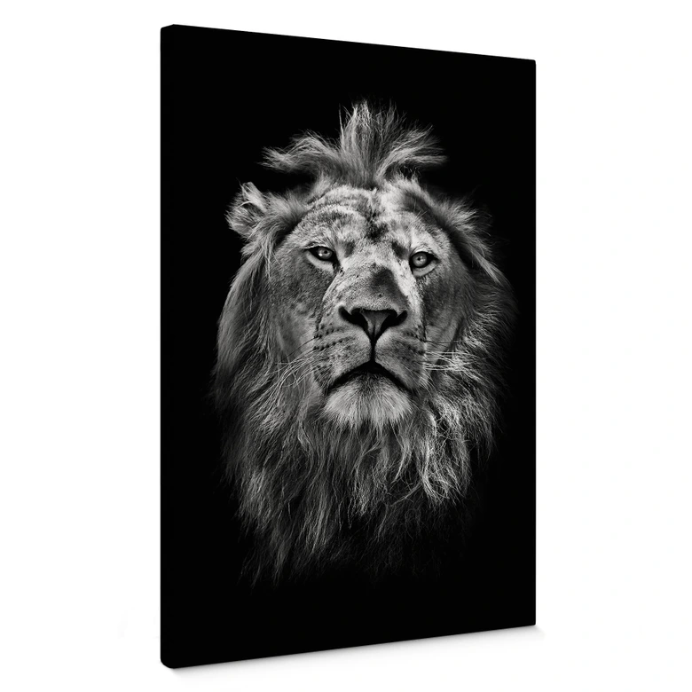 Leinwandbild Lion 