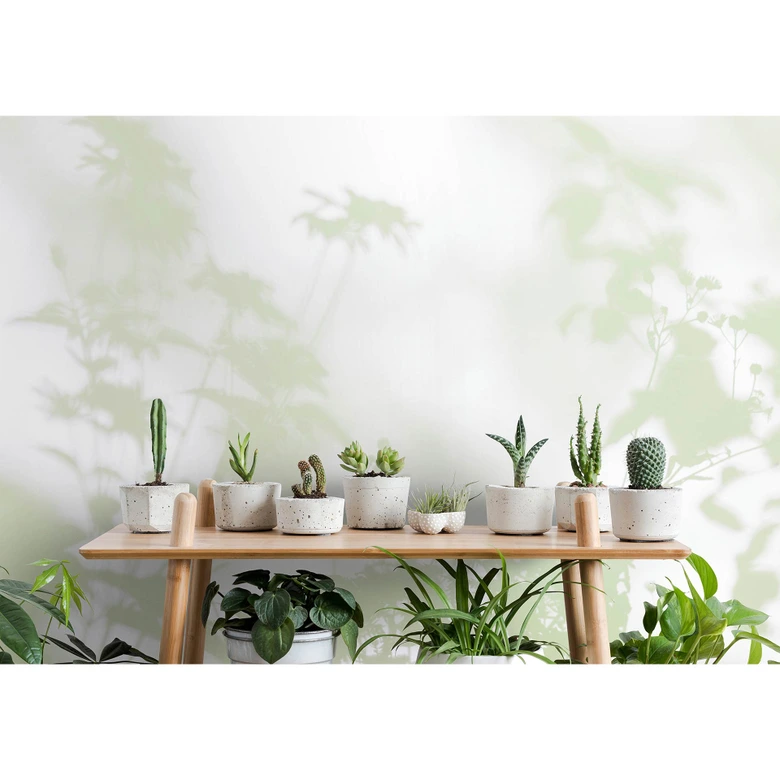 Livingwalls Fototapete Walls by Patel 3 Shadow Room 3 grün, weiß 