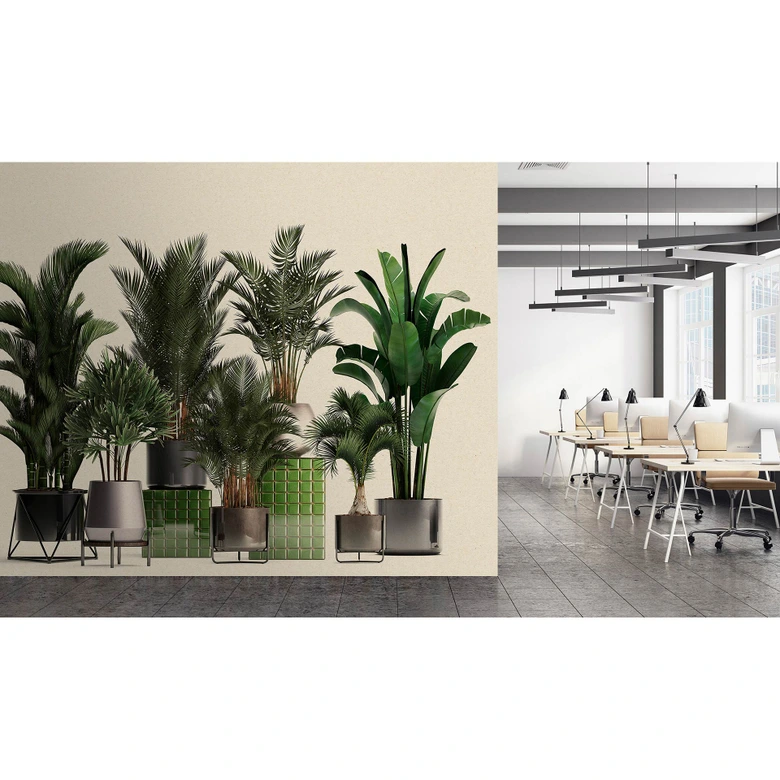 Livingwalls Fototapete Walls by Patel 3 Plant Shop 1 grün, beige, grau, schwarz 