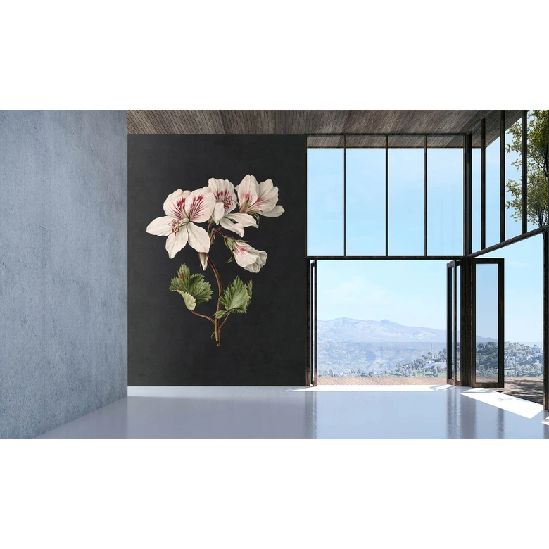 Livingwalls Fototapete Walls by Patel 3 Midnight Garden 1 schwarz, grün, weiß, rot, braun 