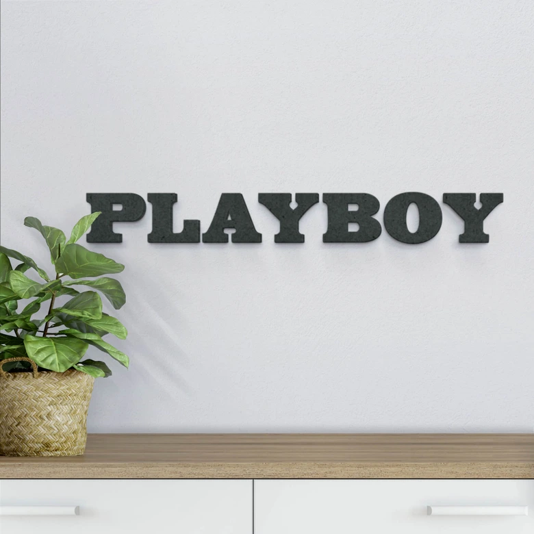 Lettres décoratives en bois MDF - Playboy 