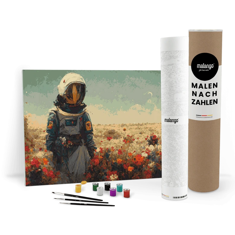 Malen nach Zahlen Leinwandbild - Astronaut  