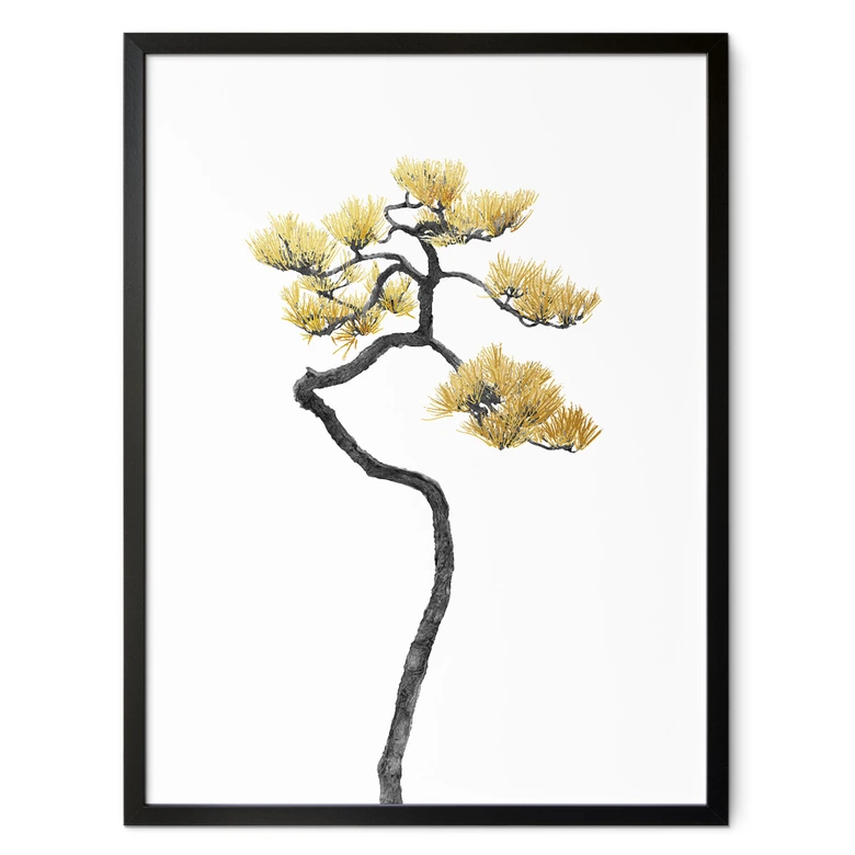 Poster Bonsai in Balance - Amini  