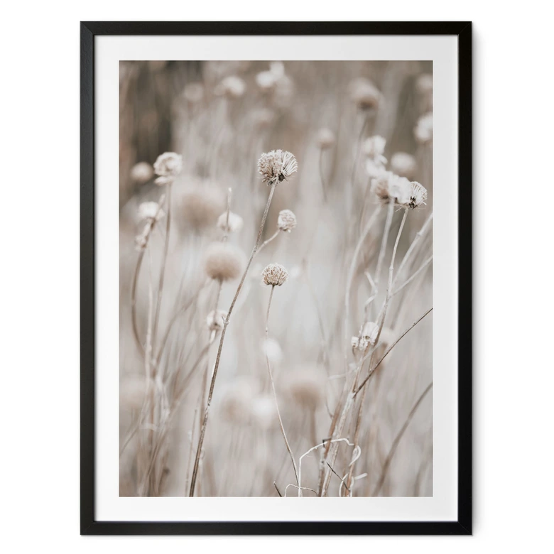 Poster Fleurs séchées dans des tons doux - Annie 